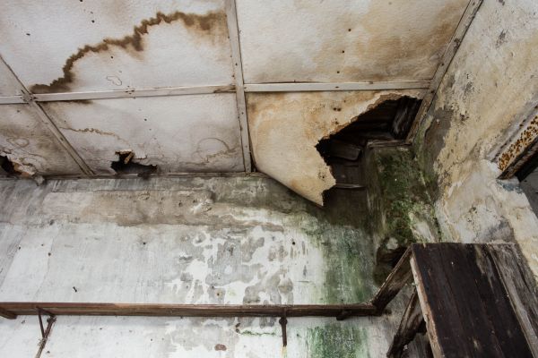 Water Damage Service in New Albany