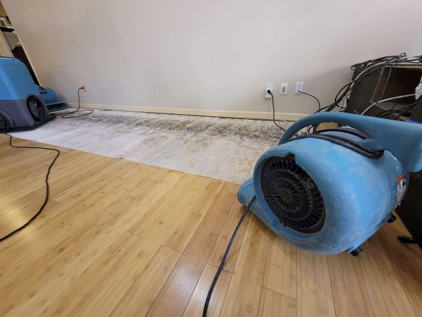 Water Damage Mitigation in New Albany
