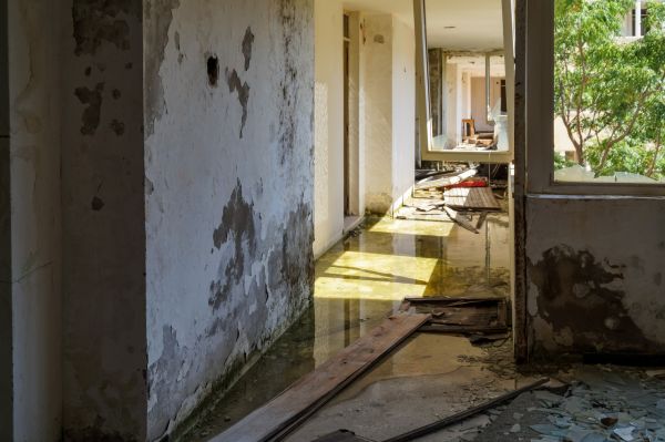 Water Removal Service in New Albany