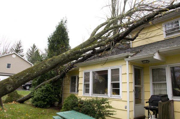 Hurricane Damage Repair in New Albany