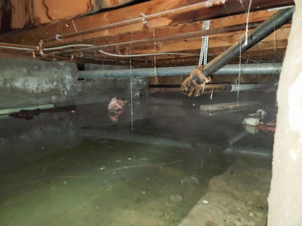Crawlspace Water Restoration in New Albany